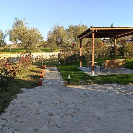 Podere Cedrola 펜션 아시아노
