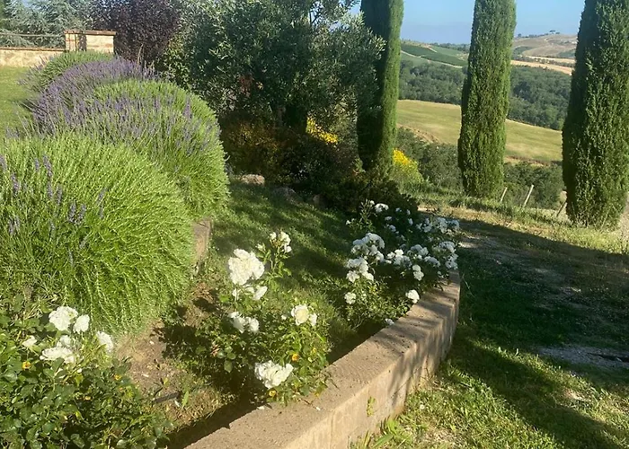 Podere Cedrola Σπίτι διακοπών