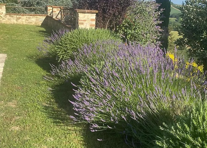 Σπίτι διακοπών Podere Cedrola